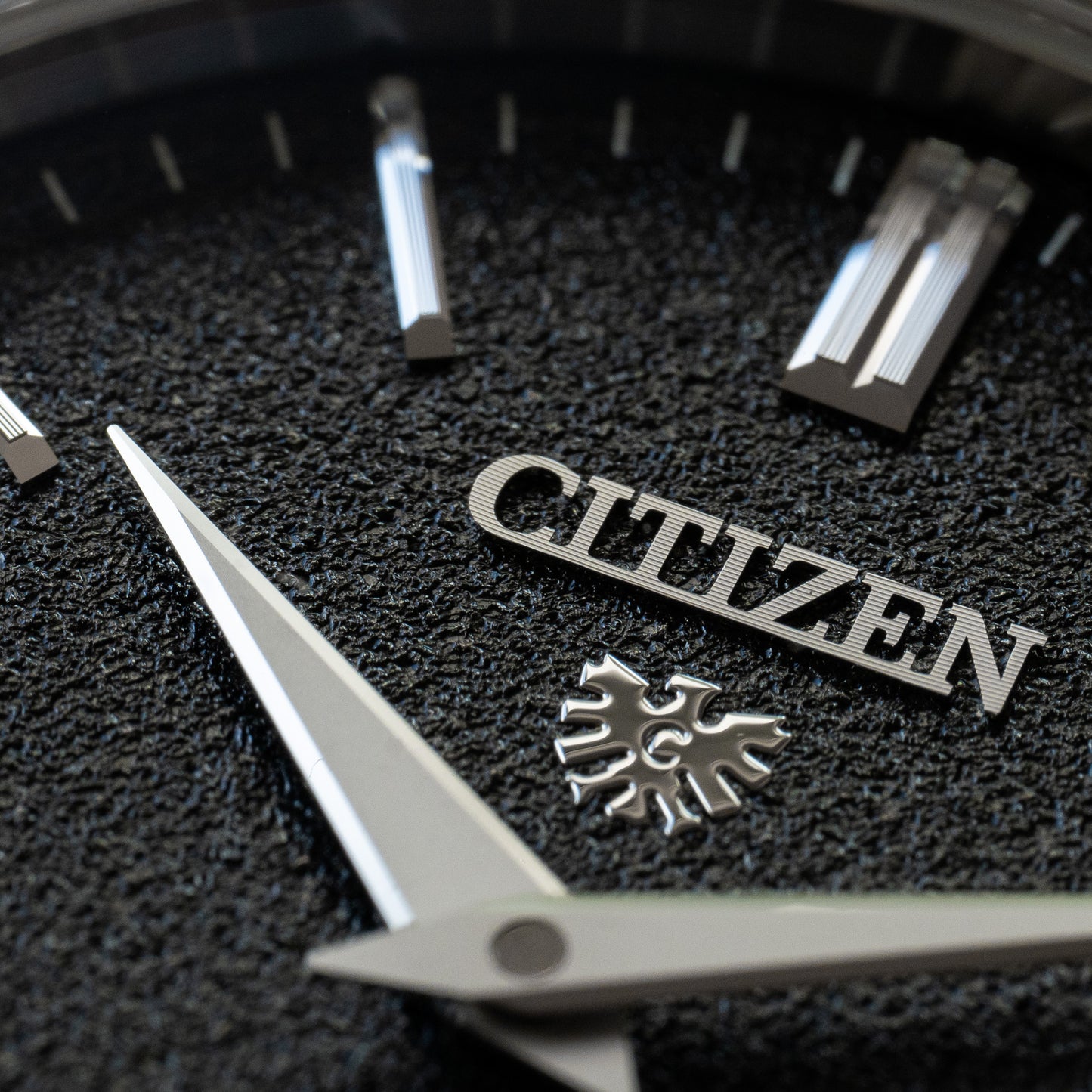 Citizen “Sand Ripple” NC0200-90E Automatic