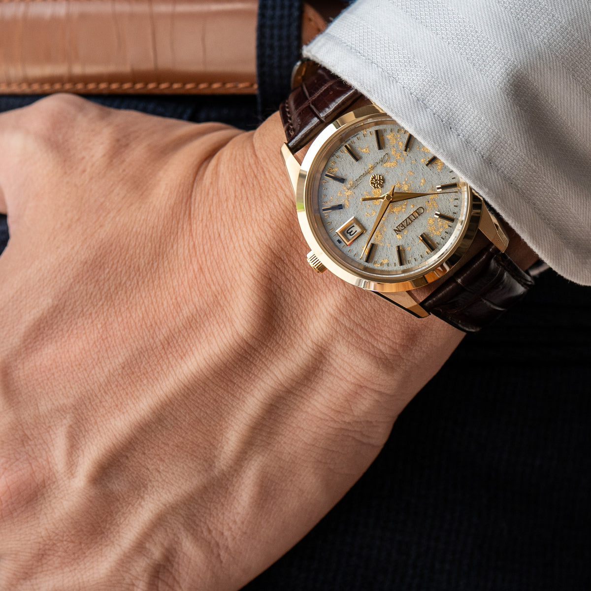 Citizen AQ4042-01P Chronomaster Anniversary Edition