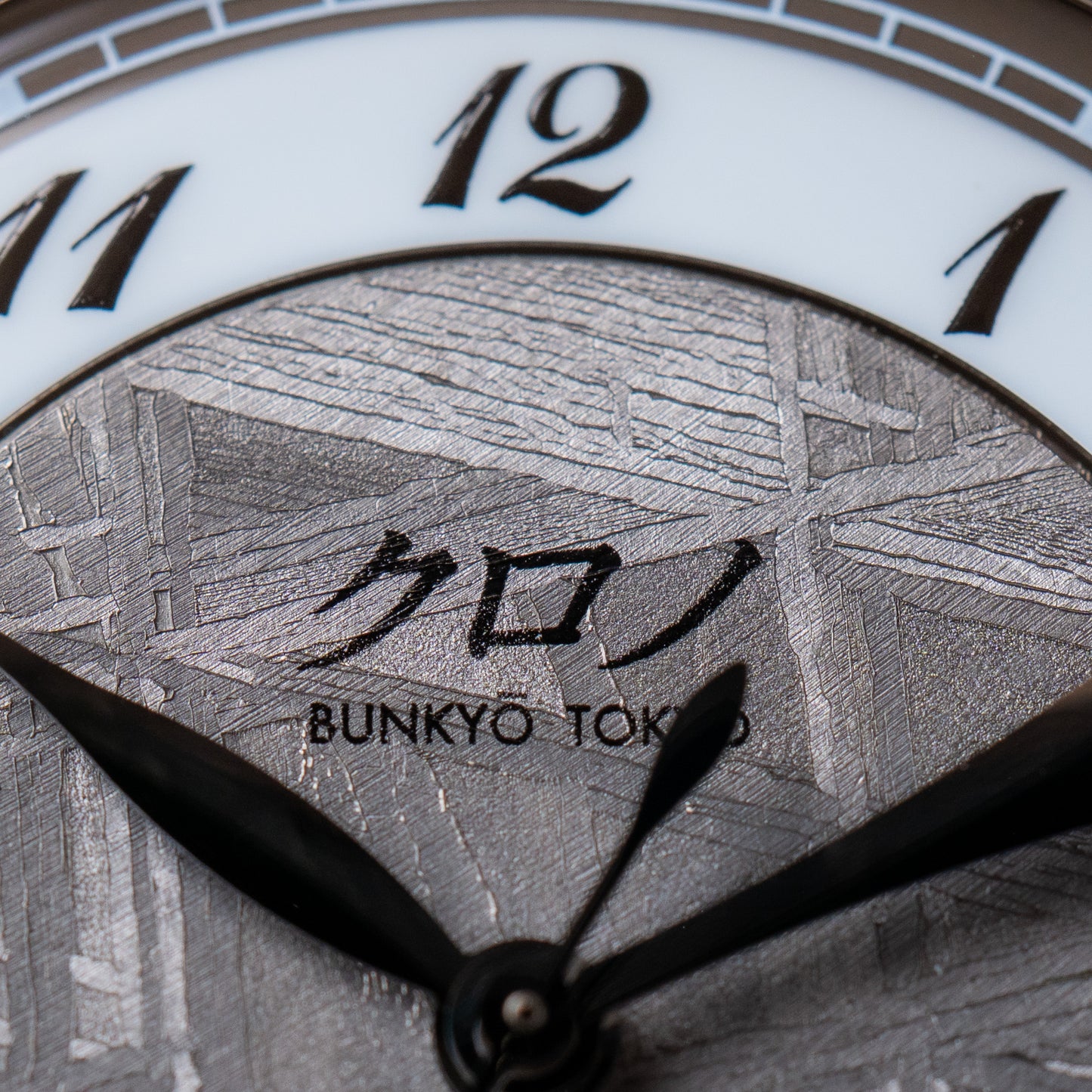 Kurono Tokyo "Inseki" Meteorite CM025A