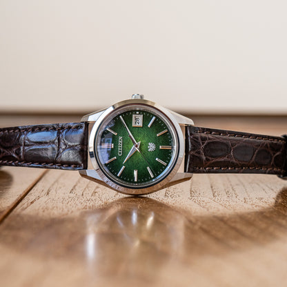 Citizen “Spring Air” AQ4100-06W